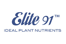 Elite 91
