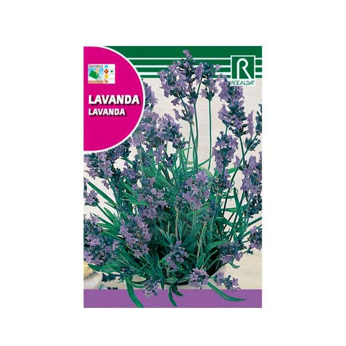 Semillas de Lavanda ✓ SEMILLAS HUERTO Y AROMÁTICAS Online