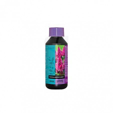 BLOSSOM BUILDER LIQUID 250 ML B´CUZZ