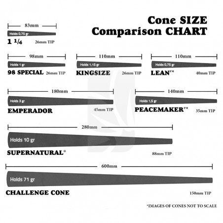 RAW Cono 5 Stage Rawket