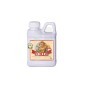 B-52 Fertilizer Booster 250ml