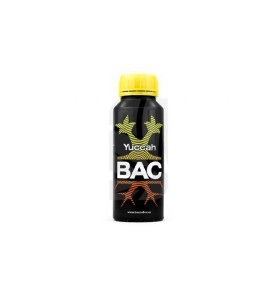 Yuccah de 250 ml BAC