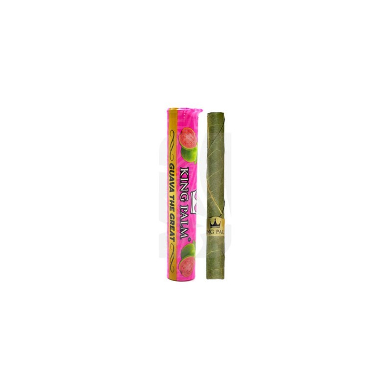 Single Mini Tube Guava King Palm