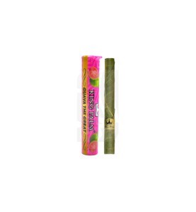 Single Mini Tube Guava King Palm