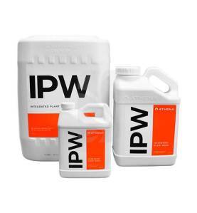 IPW Athena