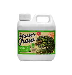 Xpert Nutrients Master Grow A+B 1 Litro