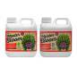 Xpert Nutrients Master Bloom A+B 1 Litro