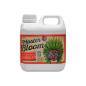 Xpert Nutrients Master Bloom A+B 1 Litro