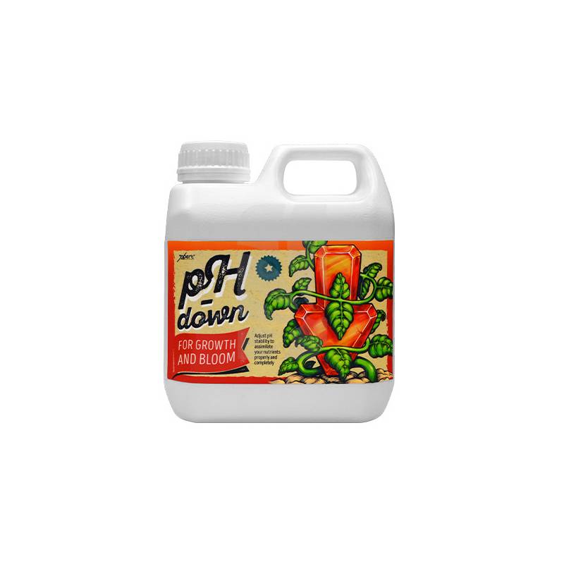 Xpert Nutrients Ph Down 1 Litro