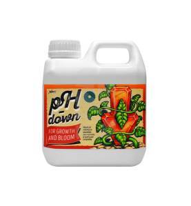 Xpert Nutrients Ph Down 1 Litro