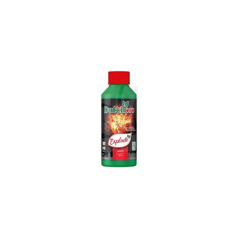 Explode Dutchpro 250 ml.