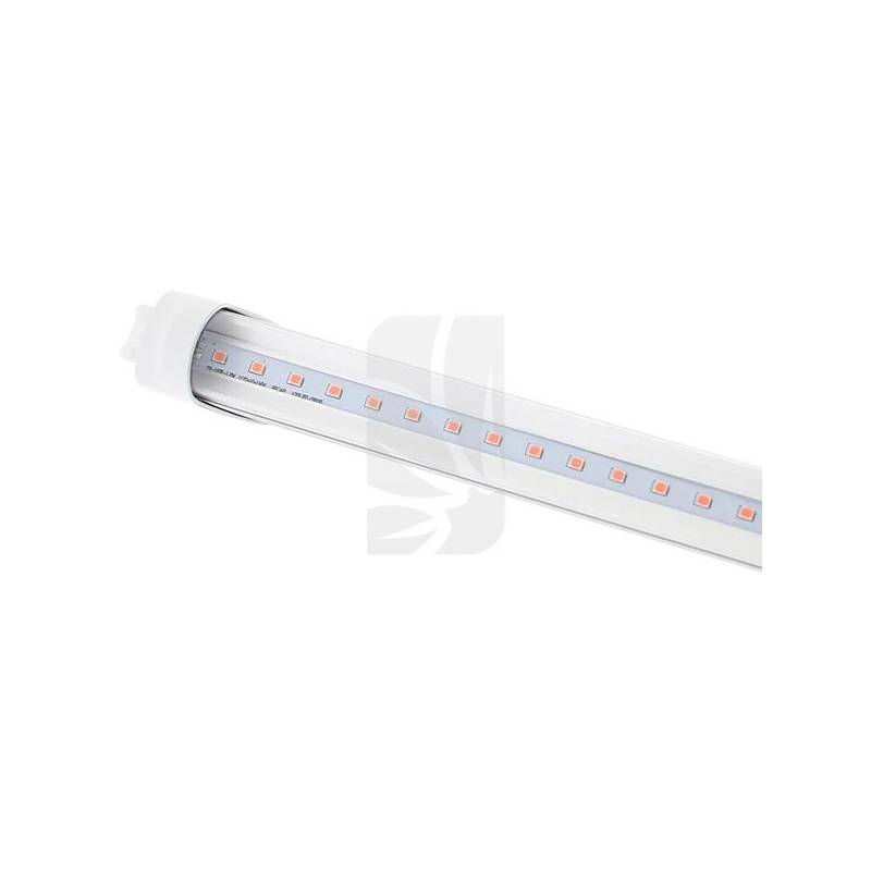 Tubo Full Spectrum 60cm. 10W Solux