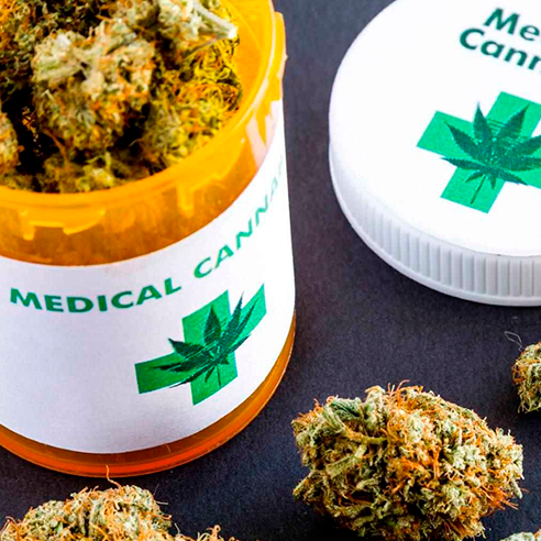 cannabis medicinal y sus beneficios