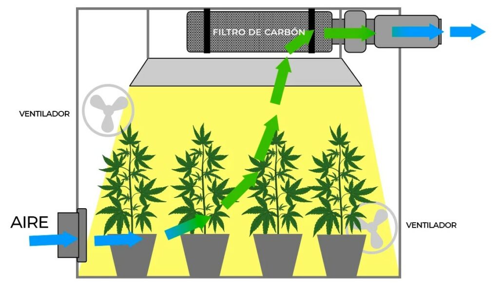 Aire Acondicionado en el Cultivo Indoor