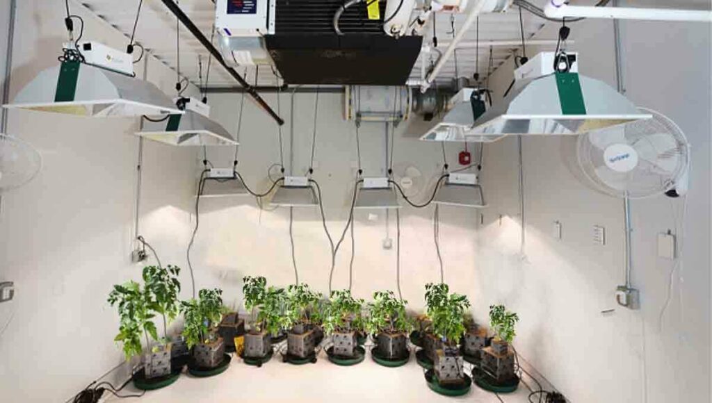 Aire Acondicionado en el Cultivo Indoor