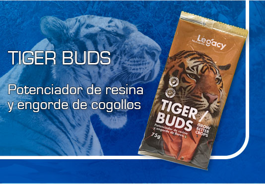 Slider Offer Banner 2