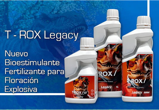 Slider Offer Banner 2