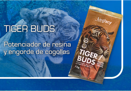 Slider Offer Banner 2